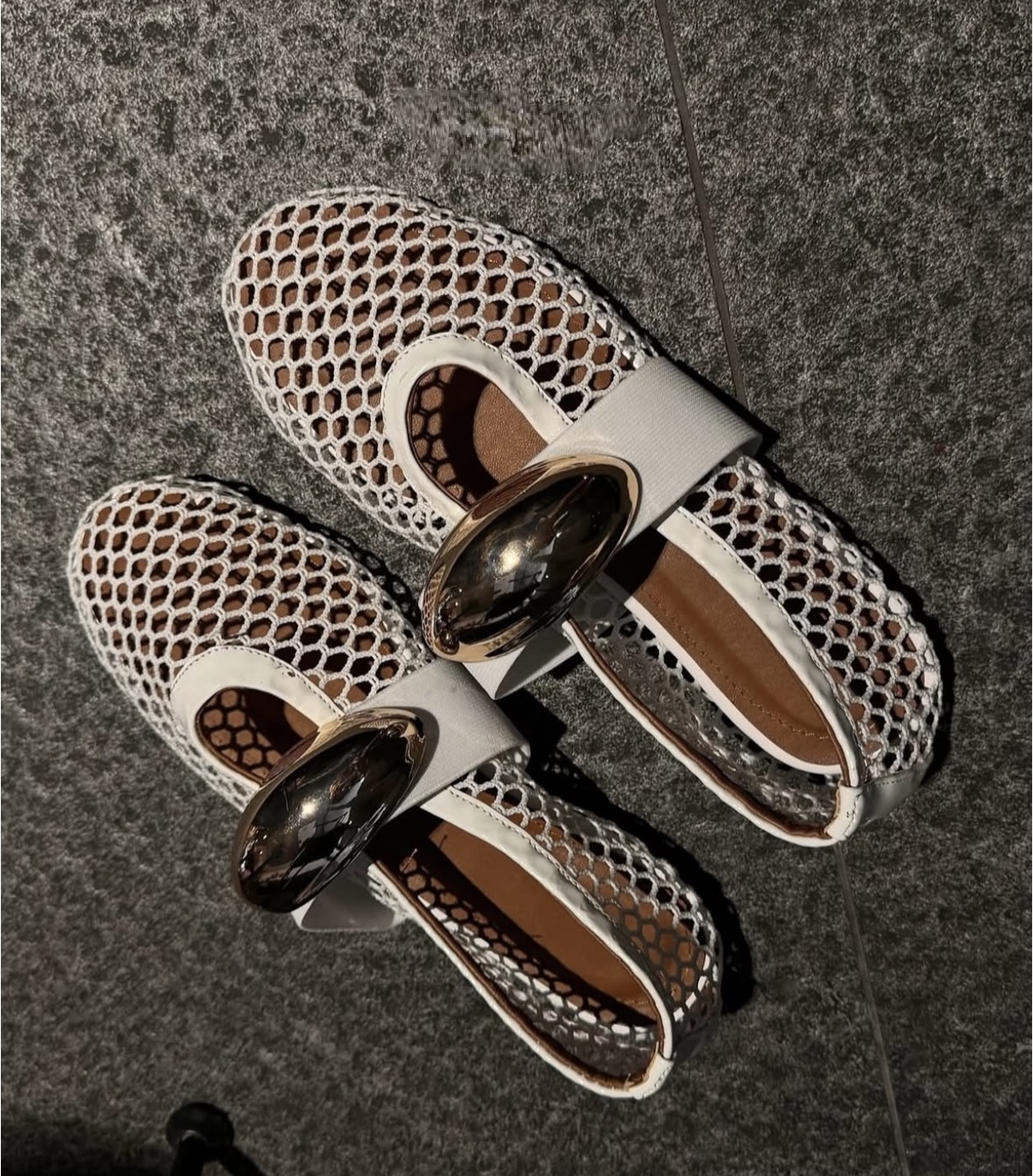 Flats Aurenne: imagen 2